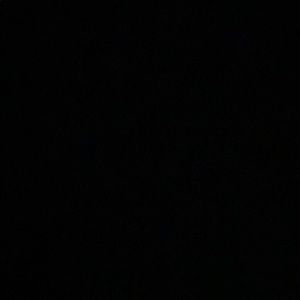 Meet your Posher, Gianna